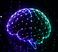 brain1618.tech